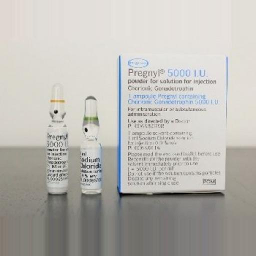 hcg-pregnyl-5000iu-45814-b