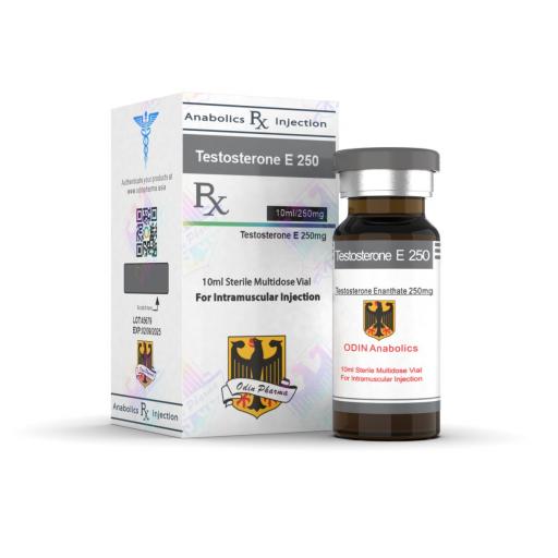 test-e-10-weeks-cycle-65597-b