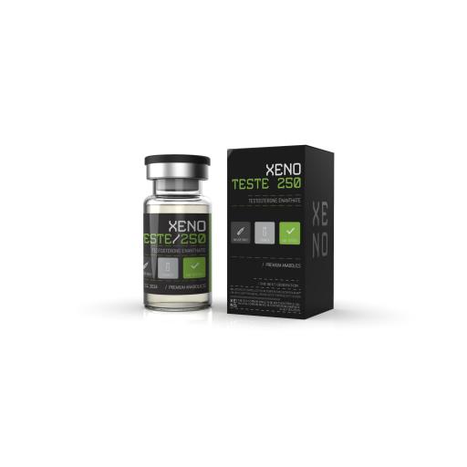xeno-test-e-250-64324-b